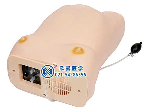 XM-YF2高級電腦孕婦檢查模型,電子孕婦腹部觸診及胎心監(jiān)護模型,產(chǎn)前檢查模型,四步觸診模型