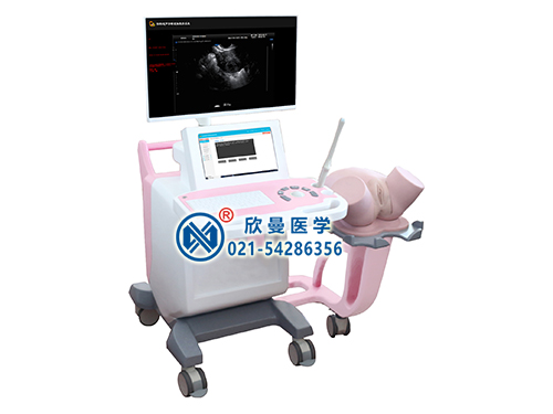 XM-TVS17婦科超聲診斷虛擬教學(xué)系統(tǒng)