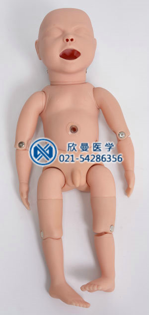 高級新生兒模擬人整體結(jié)構(gòu)