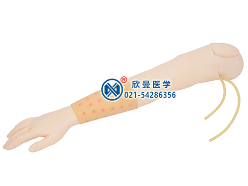 XM-PS-2多功能靜脈穿刺手臂及皮內(nèi)注射操作模型