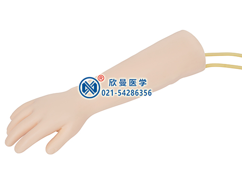 XM-S8高級兒童靜脈穿刺訓(xùn)練手臂模型,兒童靜脈輸液手臂模型