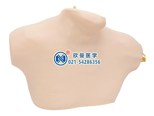XM-ZX2中心靜脈穿刺插管模型,中心靜脈置管術(shù)訓(xùn)練模型
