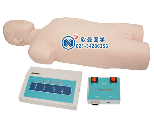 XM-WB胃大部切除手術(shù)區(qū)消毒訓(xùn)練模型