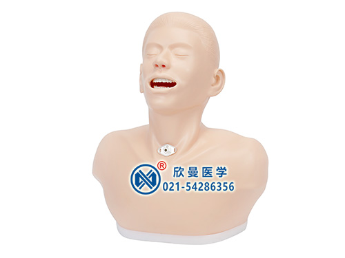 XM-QG2高級(jí)成人氣管切開(kāi)護(hù)理模型
