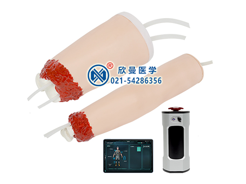 XM-H408A交互式止血訓(xùn)練手臂大腿模型