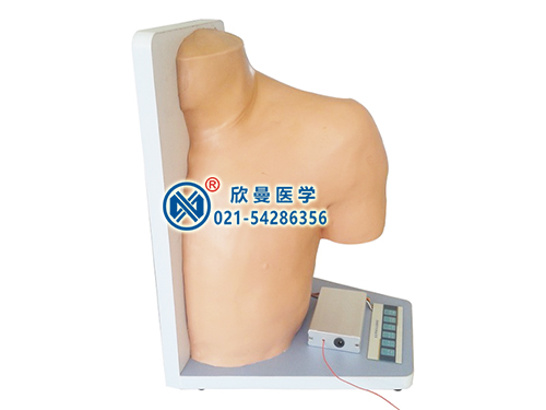 XM-L70A肩關(guān)節(jié)腔內(nèi)注射操作模型