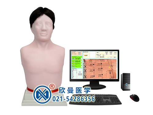 XM-65A多媒體經(jīng)穴學(xué)及針刺仿真訓(xùn)練系統(tǒng),人體仿真針刺穴位練習(xí)模型