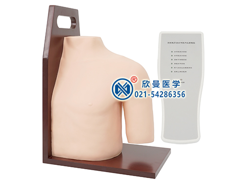 XM-L70電子肩關(guān)節(jié)腔內(nèi)注射模型,膝關(guān)節(jié)注射模型