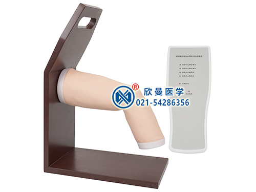 XM-L71電子肘關(guān)節(jié)腔內(nèi)注射模型,肘關(guān)節(jié)注射模型