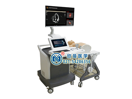 XM-TTE26心臟超聲診斷虛擬教學(xué)系統(tǒng)