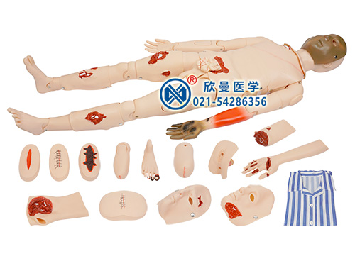 XM-HL5高級(jí)全功能創(chuàng)傷護(hù)理人模型,全功能創(chuàng)傷模擬人,全功能創(chuàng)傷模型