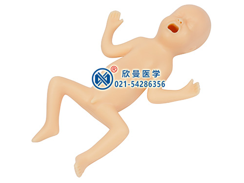XM-YE5高級(jí)30周早產(chǎn)兒模型