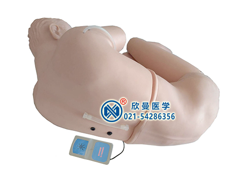 XM-YC-1腰椎穿刺訓(xùn)練模擬人,腰椎穿刺訓(xùn)練模型