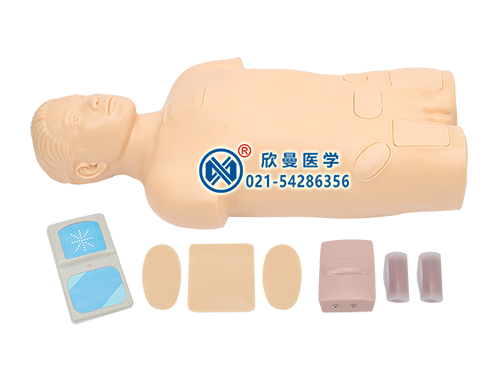 XM-GSC骨髓穿刺訓(xùn)練模型,骨髓穿刺模擬人