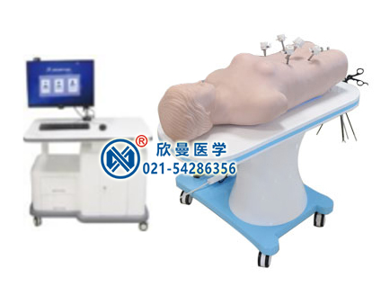 XM-F800網(wǎng)絡(luò)版群體化腹腔鏡虛擬教學(xué)訓(xùn)練系統(tǒng)