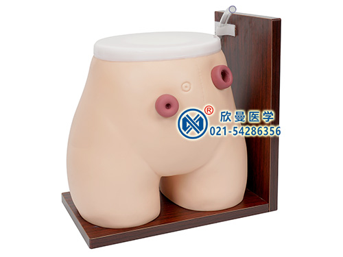 XM-LG高級(jí)瘺管造口術(shù)護(hù)理模型