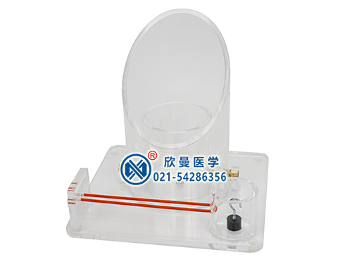 XM-DJ打結(jié)練習(xí)模型,外科打結(jié)技能訓(xùn)練模型,外科打結(jié)操作模型
