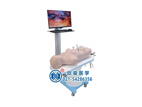 XM-F800網(wǎng)絡(luò)版群體化腹腔鏡虛擬教學(xué)訓(xùn)練系統(tǒng)