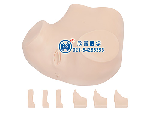 XM-F51陰道后穹窿穿刺模型,陰道后穹窿穿刺監(jiān)測(cè)考核指導(dǎo)模型