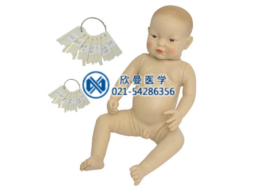高智能嬰兒模擬人模型