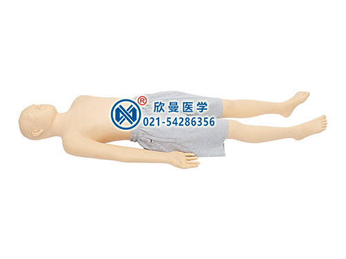 XM-BGE全功能中醫(yī)技能訓(xùn)練及考核全身模擬人,多功能中醫(yī)技能訓(xùn)練及考核模型