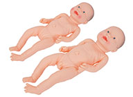 高級嬰兒/新生兒護(hù)理模型（男、女性任選）